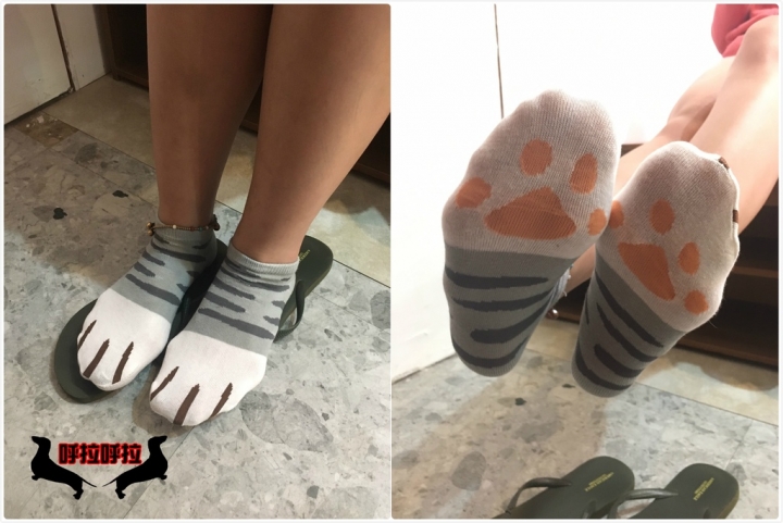 [高雄-三民-寵物餐廳]養一隻貓吧-還不快來帶主子回家寵幸!!!