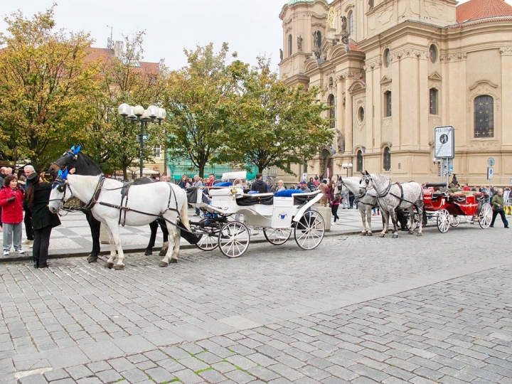 【Czech．走跳】慢遊布拉格舊城廣場、天文鐘、火藥塔、猶太區與露天市集