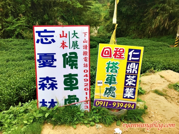 忘憂森林—南投旅遊景點,杉林溪的奇幻仙境之旅