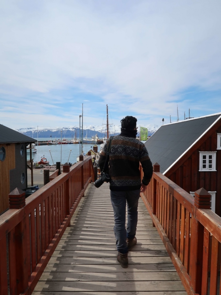 冰島環島的魔幻時刻：Husavik賞鯨 住在冰島北部的溫和巨人