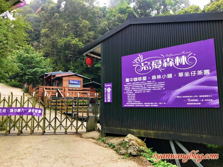 忘憂森林—南投旅遊景點,杉林溪的奇幻仙境之旅