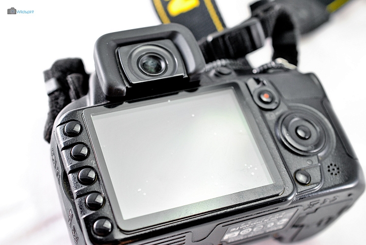9年CCD最後的榮光【NIKON D3000】