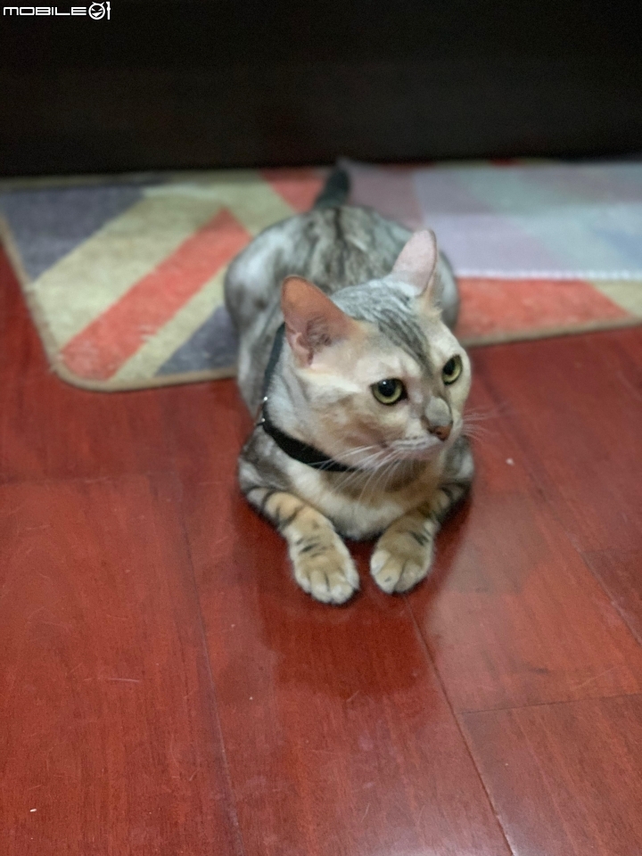 iPhone XS MAX 太空灰開箱