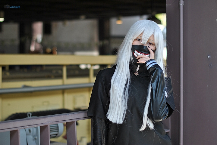 9年CCD最後的榮光【NIKON D3000】
