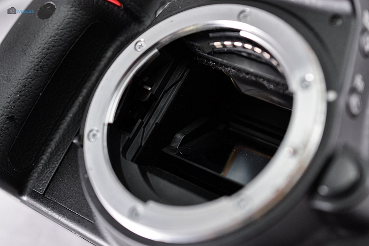 9年CCD最後的榮光【NIKON D3000】