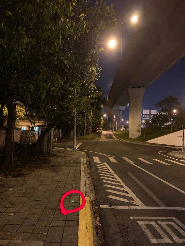 iPhone XS MAX拍照問題