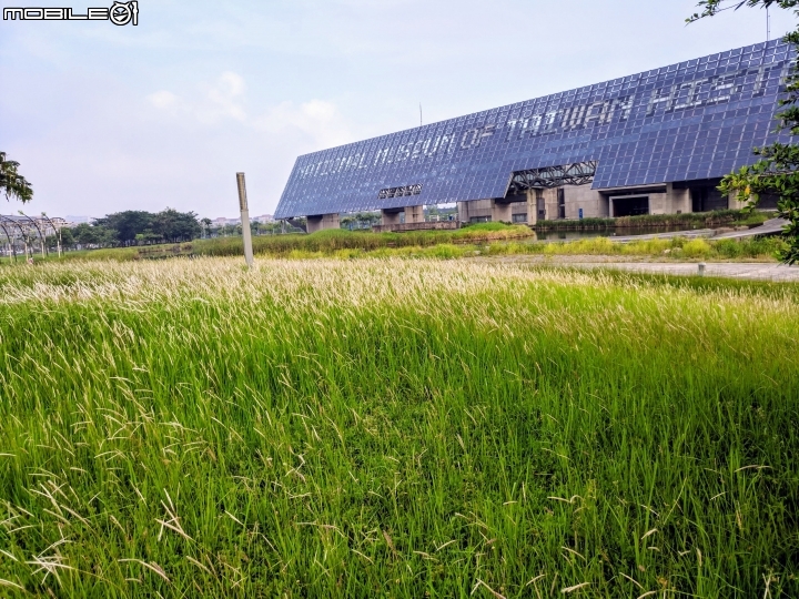白茅 台南市安南區史博館 09/12