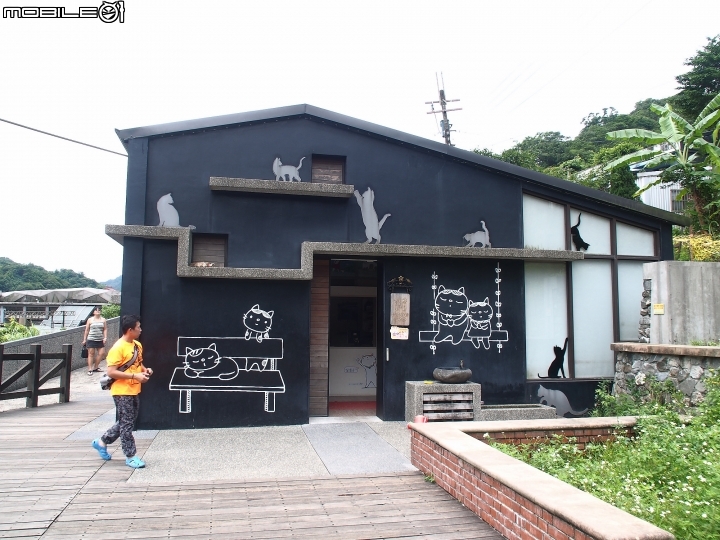 新北市 瑞芳 猴硐貓村-- 想找貓兒療癒的，請來這裡!