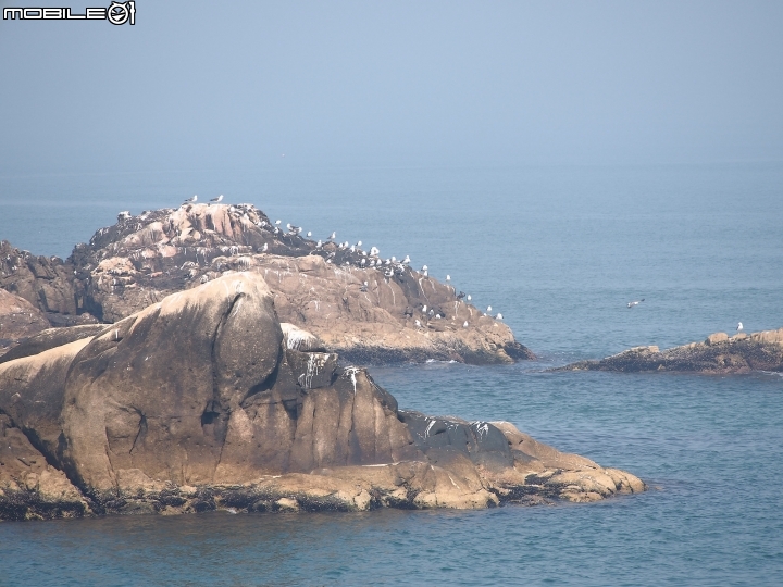 竹城聖堂,與唯美海景合而唯一的戲劇造景 - 韓國釜山+大邱4日遊遊記 Day1 Part6