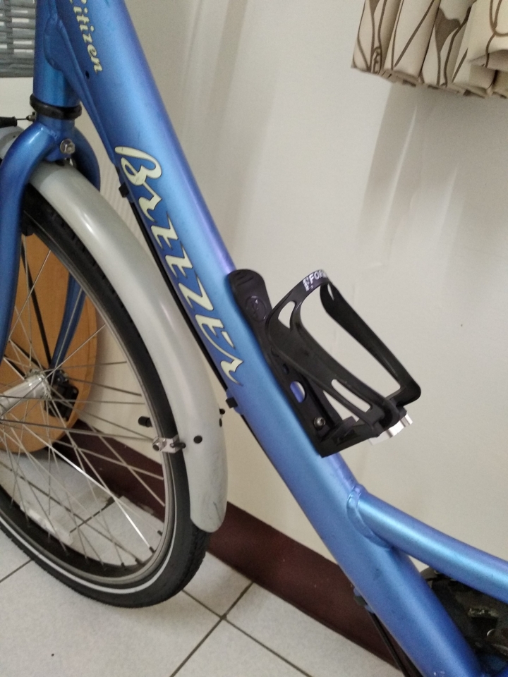 Breezer 古董淑女車修復整新