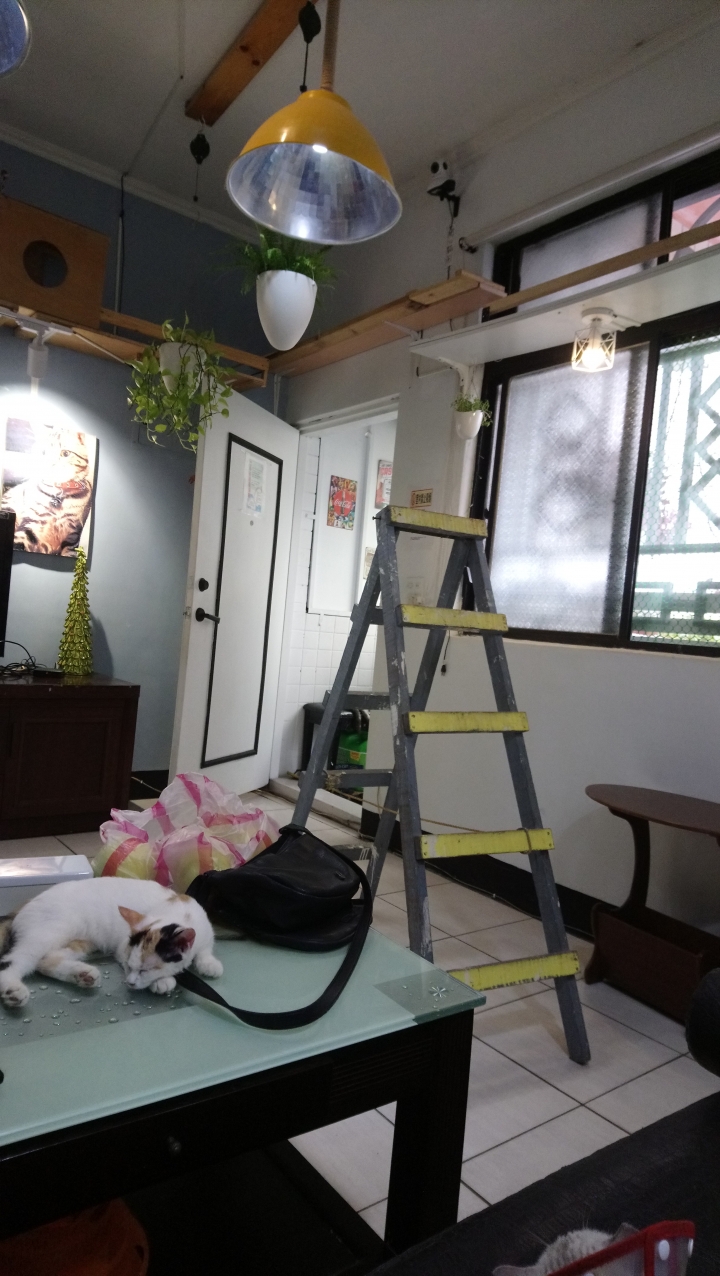 我家佈置適合開早餐店嗎