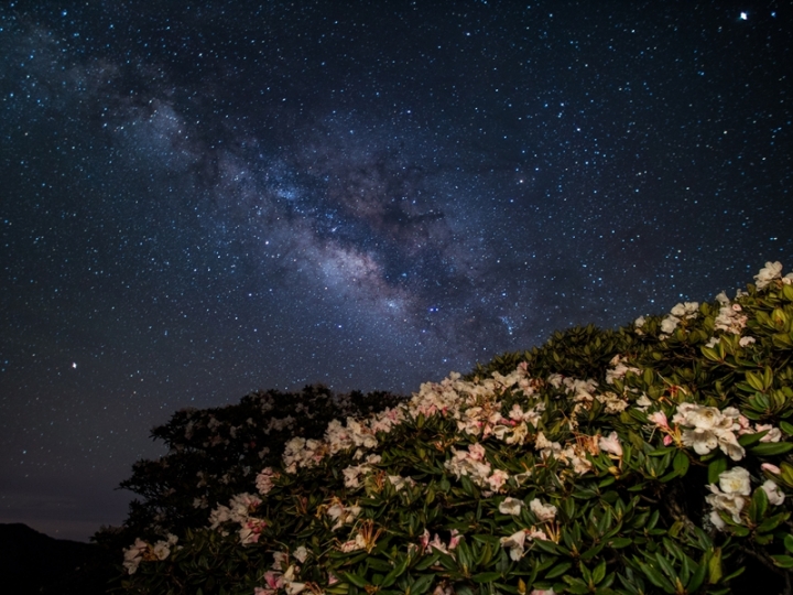 2018年屬於G9的夏夜~星空燦爛~*