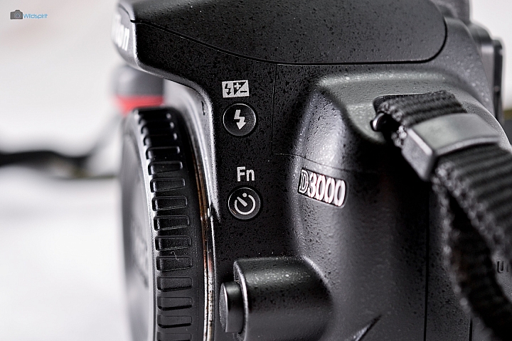 9年CCD最後的榮光【NIKON D3000】