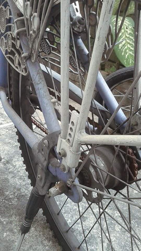 Breezer 古董淑女車修復整新