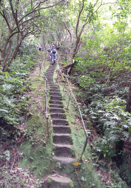 孝子山~慈母峰~普陀山