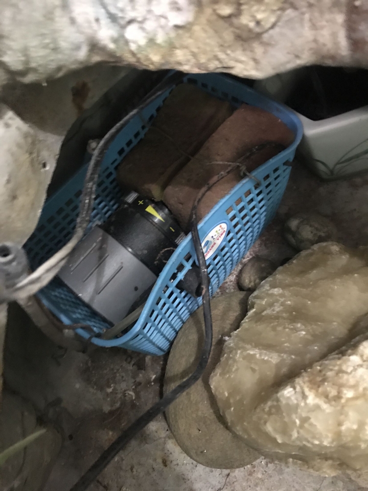 假山假水 真求助