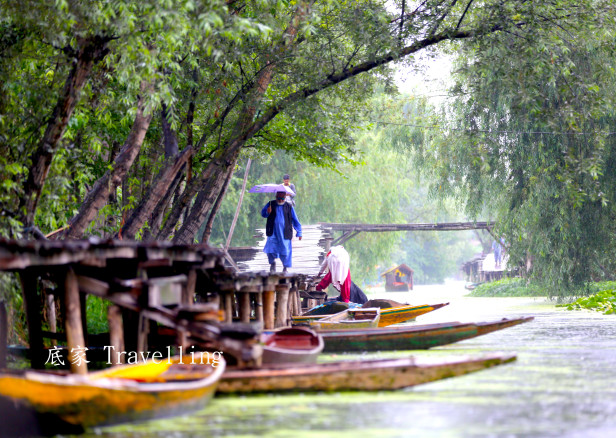 [印度] 喀什米爾~斯利那加，達爾湖 Kashmir, Srinagar, Dal Lake (一) – Here, I am travelling