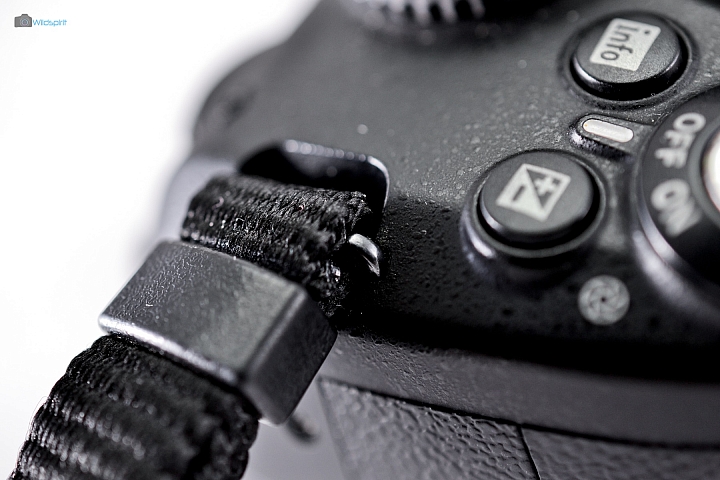 9年CCD最後的榮光【NIKON D3000】