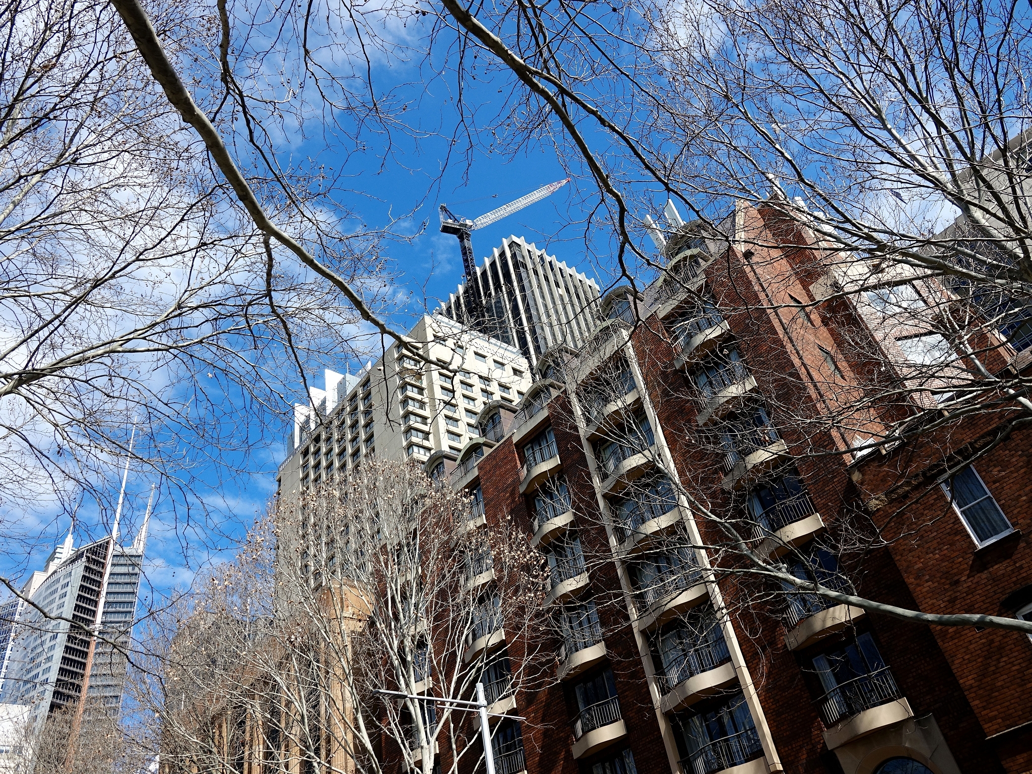 誤打誤撞RX10M3～完美的輕鬆派旅行記錄相機（2018澳洲之旅）