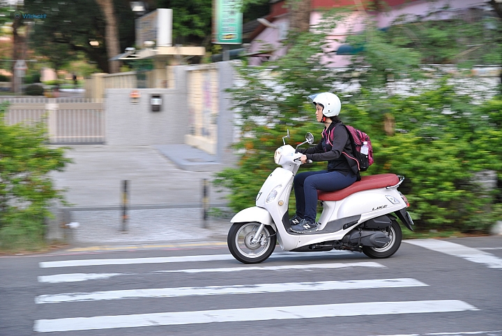 9年CCD最後的榮光【NIKON D3000】