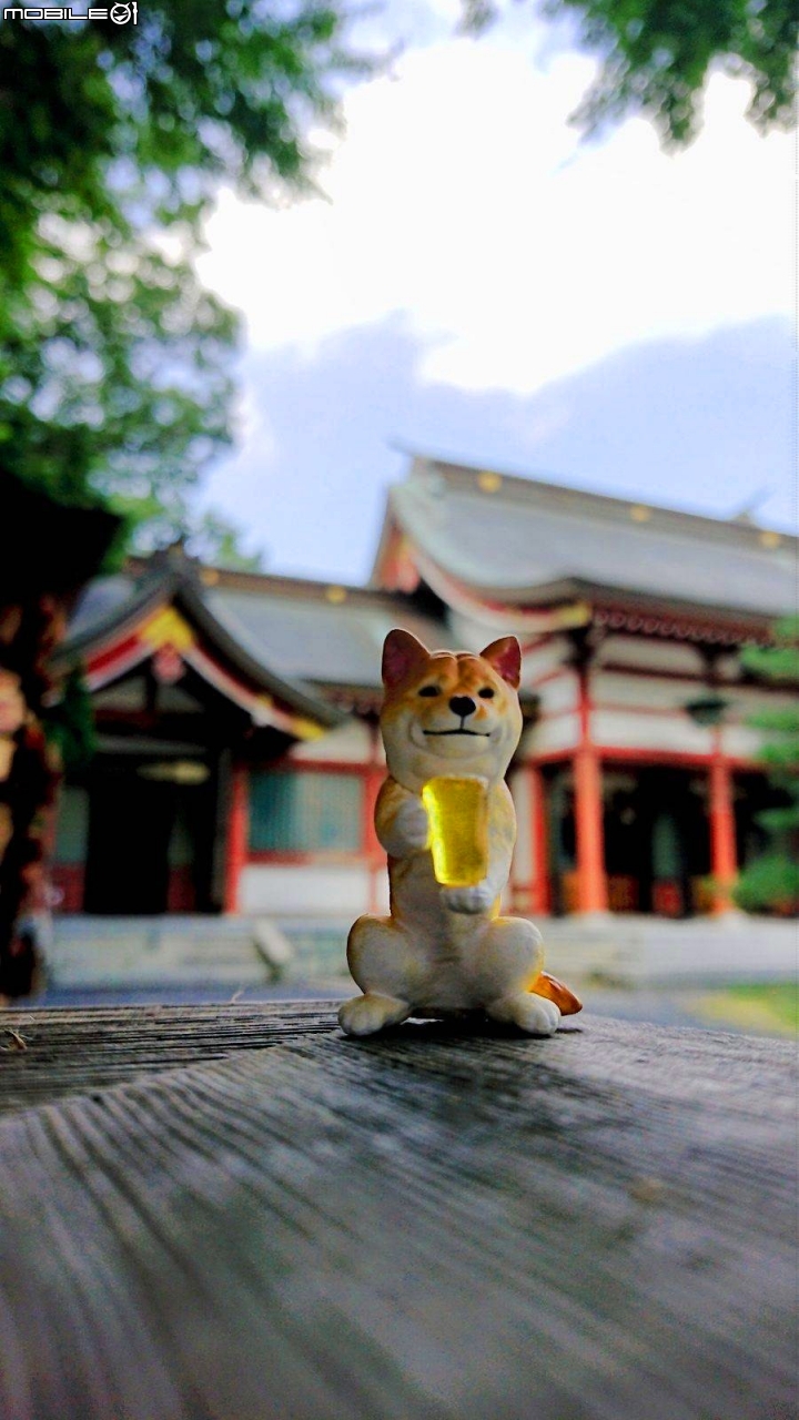 再一次帶著小比  日本旅行去(輪行12天)