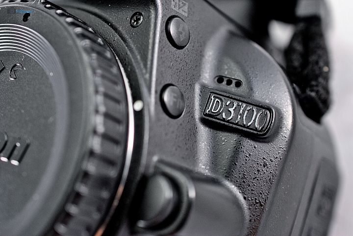 9年CCD最後的榮光【NIKON D3000】