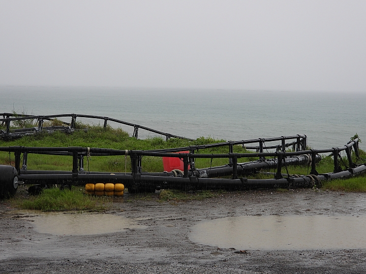 Nikon P1000惡劣大雨天氣下的超長離海岸3公里實拍