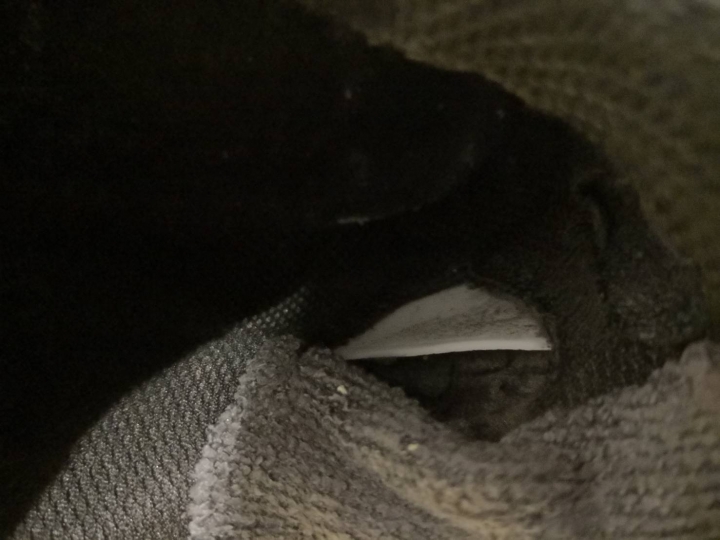 PUMA 跑鞋, 品質有問題, 官方態度也令人搖頭