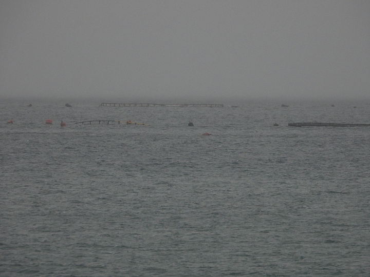 Nikon P1000惡劣大雨天氣下的超長離海岸3公里實拍