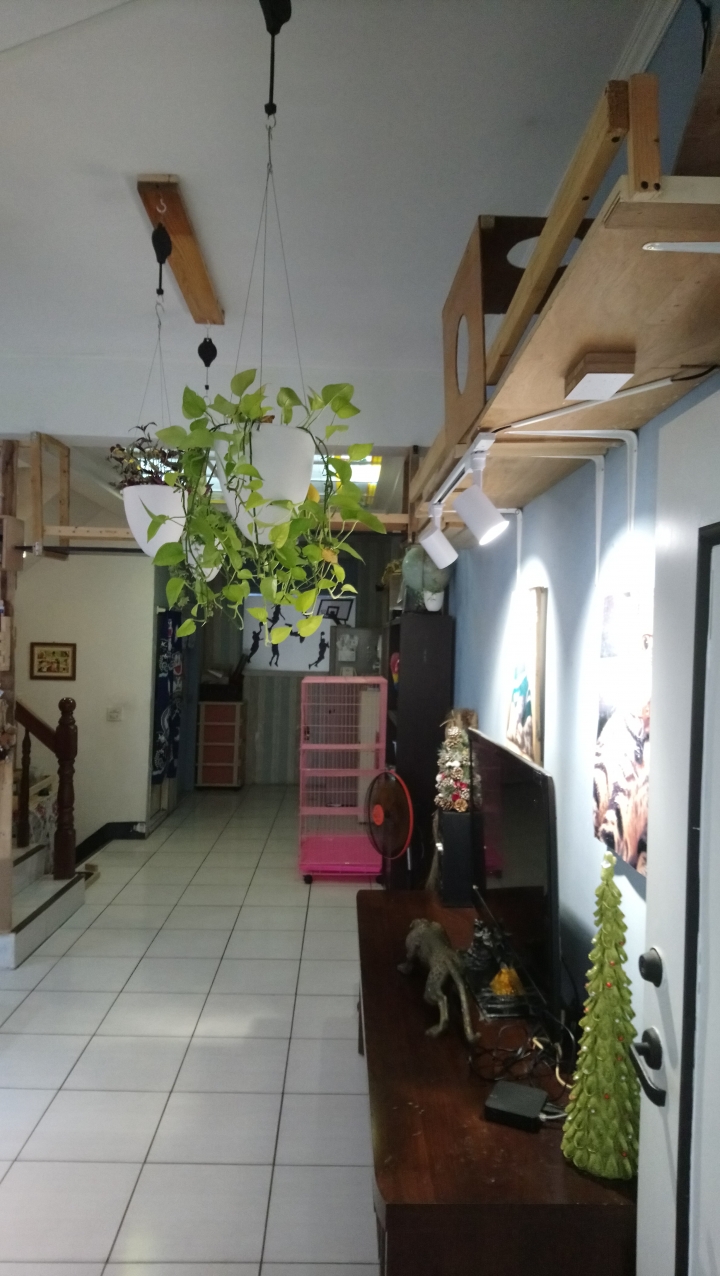 我家佈置適合開早餐店嗎