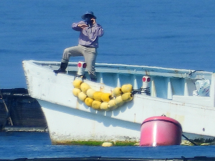 Nikon P1000與P900遠拍1.5公里、2公里、3公里實拍比較，D850插花參考。