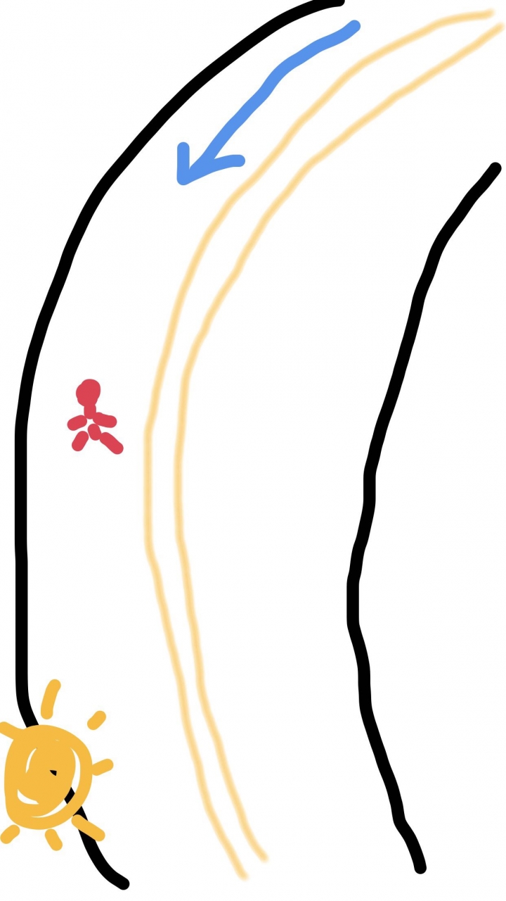 機車撞違規行人