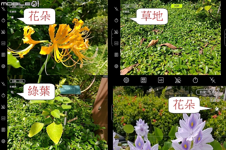 【ROG Phone評測】電競旗艦也能智慧拍照