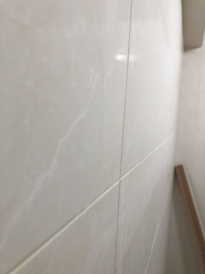 [開箱]   老屋廁所高品質翻修實錄