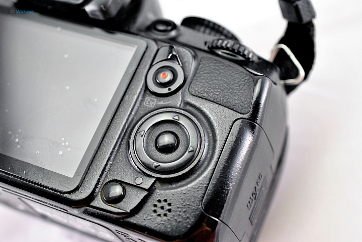 9年CCD最後的榮光【NIKON D3000】
