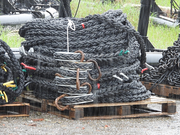 Nikon P1000惡劣大雨天氣下的超長離海岸3公里實拍