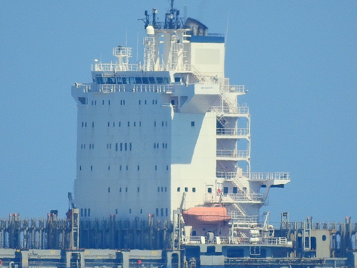 Nikon P900記錄紅豆的採收，和毛豆非常不同哦！忽然想吃萬丹紅豆餅。