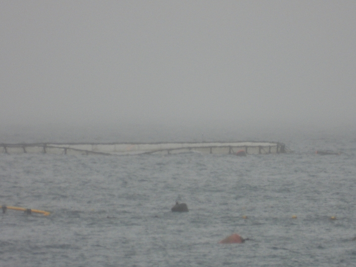 Nikon P1000惡劣大雨天氣下的超長離海岸3公里實拍
