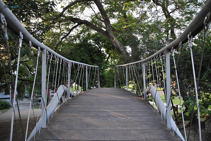 9年CCD最後的榮光【NIKON D3000】