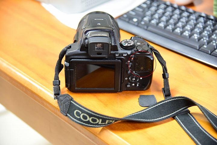 Nikon P900記錄紅豆的採收，和毛豆非常不同哦！忽然想吃萬丹紅豆餅。