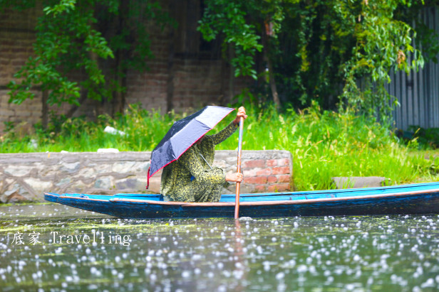 [印度] 喀什米爾~斯利那加，達爾湖 Kashmir, Srinagar, Dal Lake (一) – Here, I am travelling
