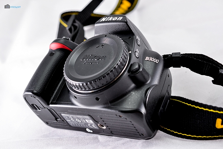 9年CCD最後的榮光【NIKON D3000】