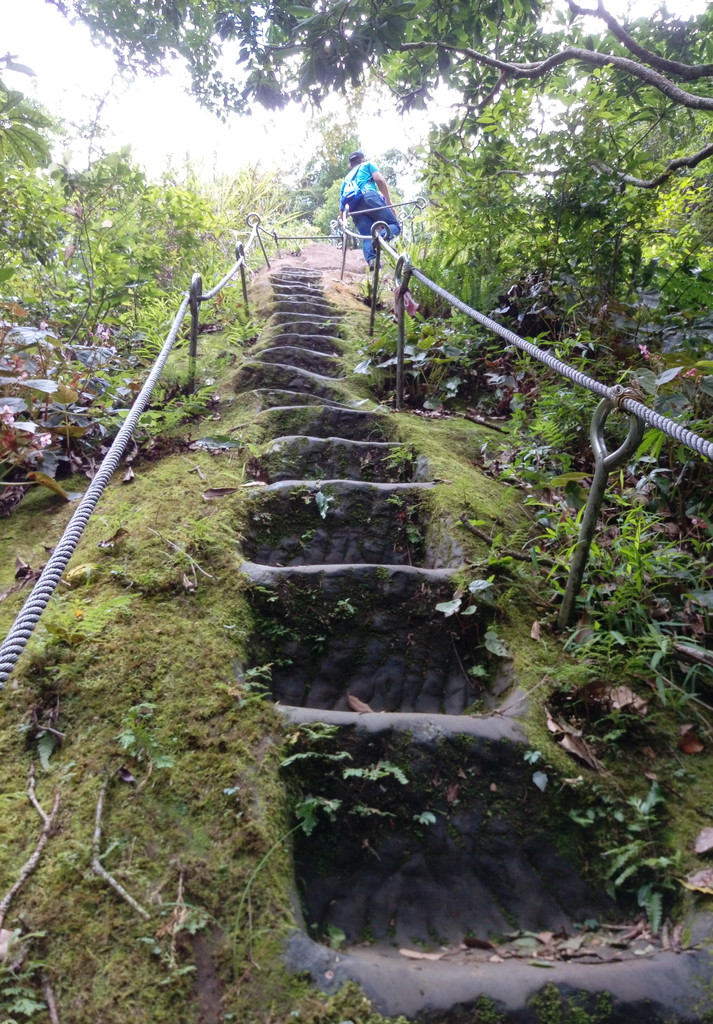 孝子山~慈母峰~普陀山