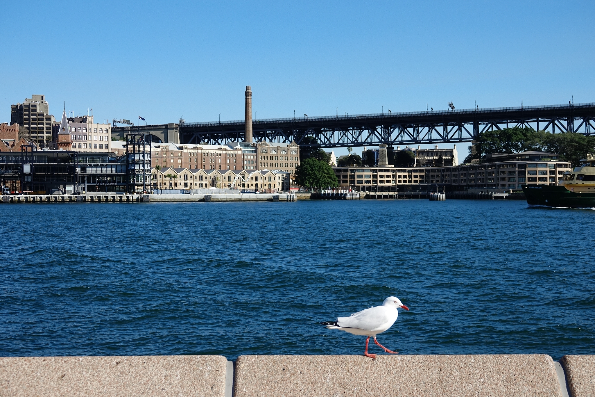 誤打誤撞RX10M3～完美的輕鬆派旅行記錄相機（2018澳洲之旅）
