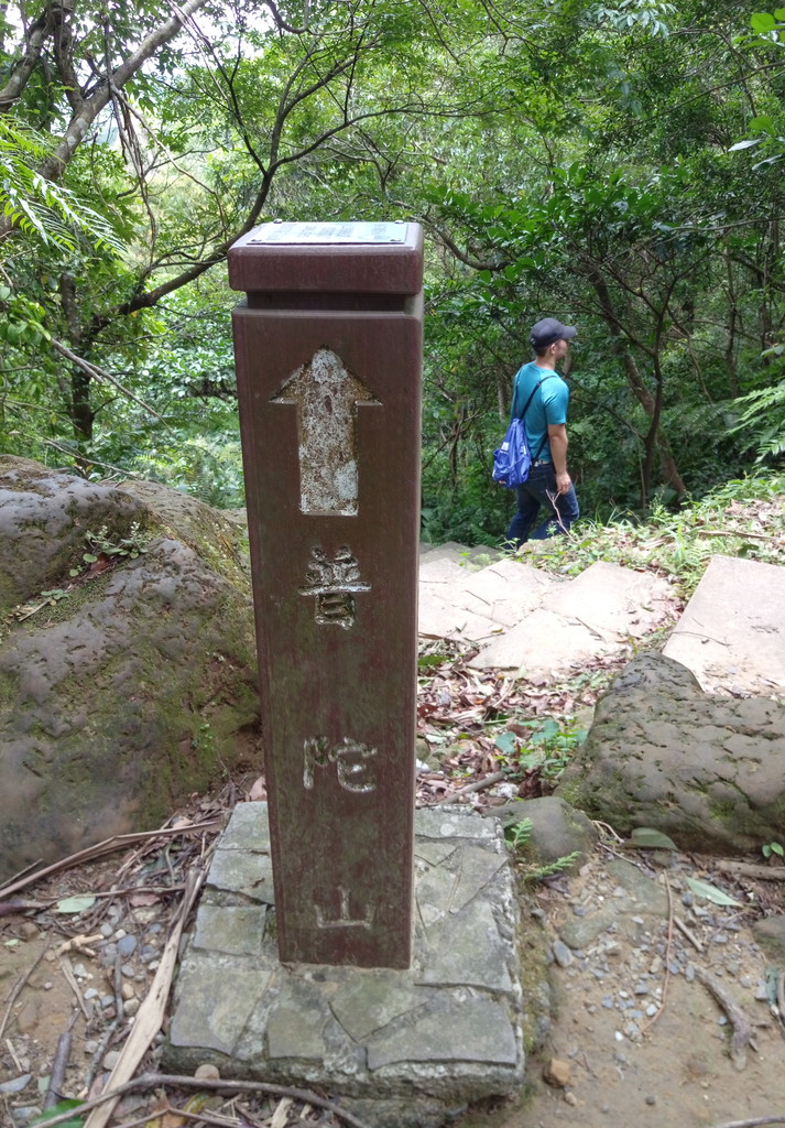 孝子山~慈母峰~普陀山