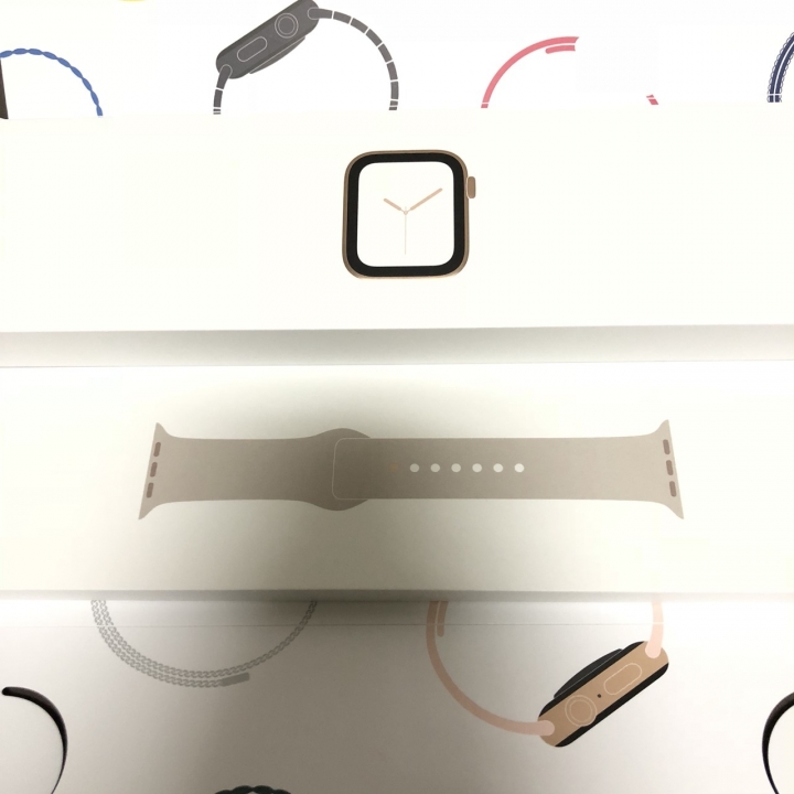 [日版雙eSIM] Apple Watch 4 LTE 不鏽鋼金 x 中華+台哥大eSIM！