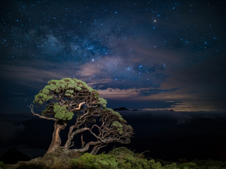 2018年屬於G9的夏夜~星空燦爛~*