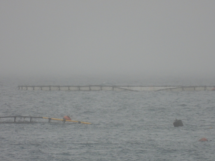 Nikon P1000惡劣大雨天氣下的超長離海岸3公里實拍