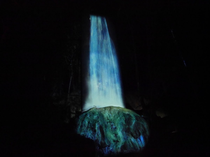 九州佐賀・御船山樂園teamLab藝術展『有神明居住的森林』