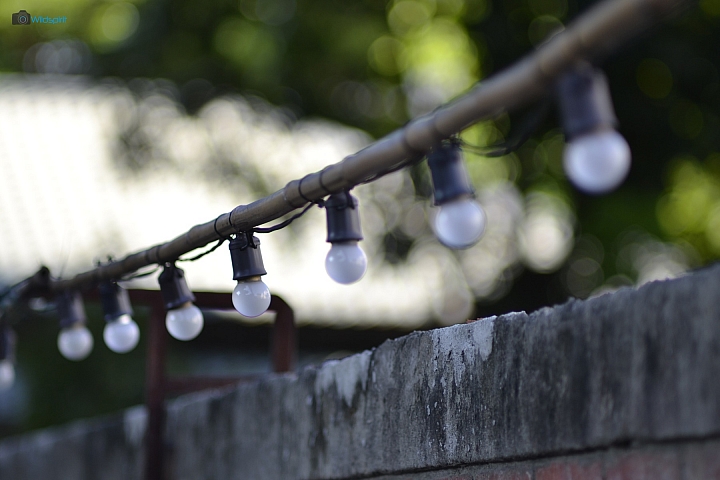 39年的長焦近攝鏡【TAMRON Adaptall 135mm f/2.5 (03B)】